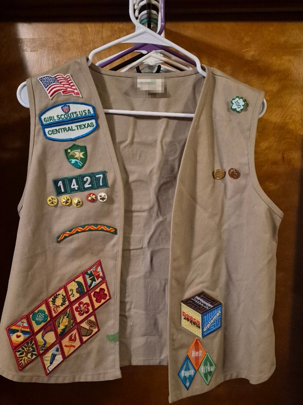 Girl Scouts Junior Vest Central Texas 60+ Patches Pins 2013-2015 Badges Khaki